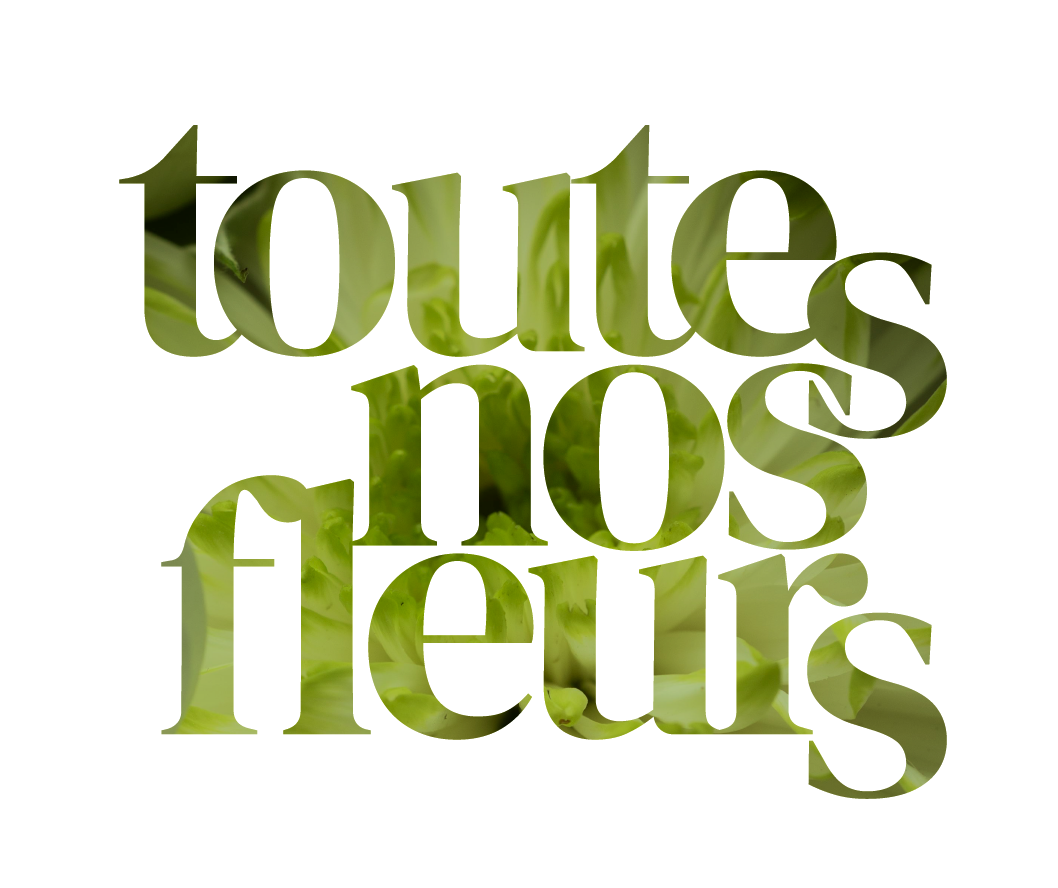 La boutique FlorénadeToutes nos fleurs